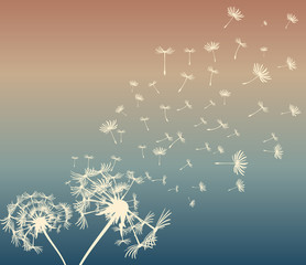 abstract card with dandelions vector background - 118076004