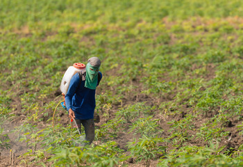 Man farmer to spray herbicides or chemical fertilizers on the fi