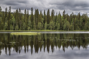 Fototapeta na wymiar lake and forest in Finnish Lapland