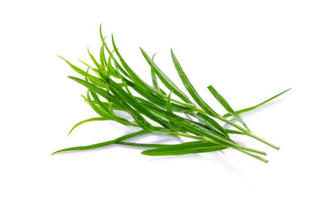 Tarragon herbs close up isolated on white