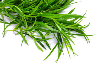 Tarragon herbs close up isolated on white