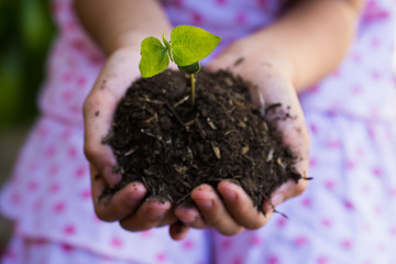 little girl with a tree sprout, tree sprout on hands