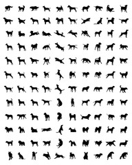 Fototapeta na wymiar Black silhouettes of different races of dogs, vector