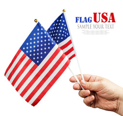 American flag in hand © OlegDoroshin
