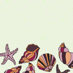 Vector Frame Illustration of Shells.