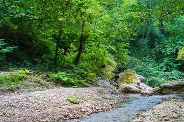 River deep in mountain forest