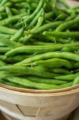 Organic Green Beans