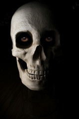 Scary Halloween Skull