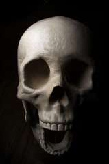 Scary Halloween Skull