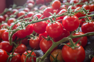 Grape Tomatoes Vine