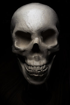 Scary Halloween Skull