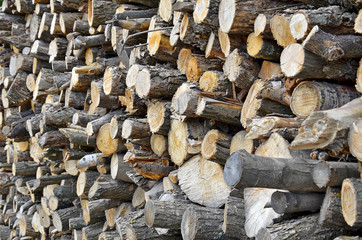 Деревянные текстуры из досок и веток