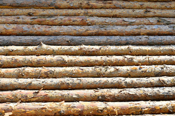 Деревянные текстуры из досок и веток