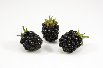 Fresh blackberrys with green leaf on white background