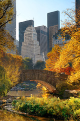 Central Park Autumn