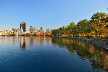 Central Park Autumn