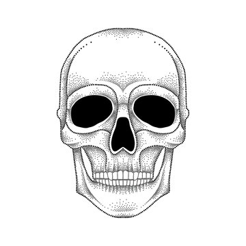 Vector illustration of dotted skull in black isolated on white background. Front view. Element for tattoo design or Halloween in dotwork style. Creative concept for tattooing and trash decor.
