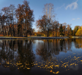 Fototapeta na wymiar Frosty morning in autumn landscape Park in Pavlovsk.