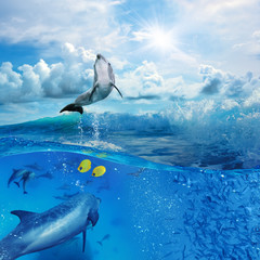 Panele Szklane  Widok na ocean ze światłem słonecznym. Stado zabawnych delfinów pływających pod wodą i jeden z nich wyskakuje z wielkiej morskiej fali surfingowej