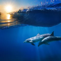 Wall murals Dolphin two beautiful dolphins swimming underwater through sunrays with breaking wave above