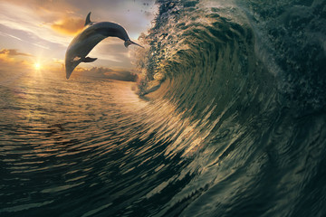 Sonnenuntergangdelfin, der über brechende Wellen springt. Hawaii Pazifische Ozean-Tierlandschaft. Meerestiere im natürlichen Lebensraum.