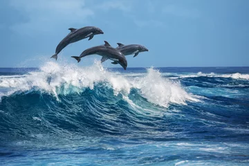 Keuken foto achterwand Bestsellers Dieren Speelse dolfijnen springen over brekende golven. Hawaii Stille Oceaan wildlife landschap. Zeedieren in natuurlijke habitat.