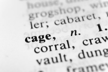 Fototapeta premium Cage