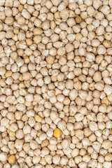 chickpea seeds occupying the entire image