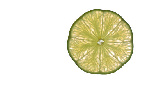 Slice of lime isolated on white background in counterlight