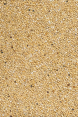 mustard seeds occupying the entire image