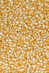 popcorn seeds occupying the entire image frame