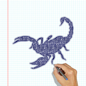 Scorpion is drawn with a pen. Hand drawing of a Scorpion in a school notebook