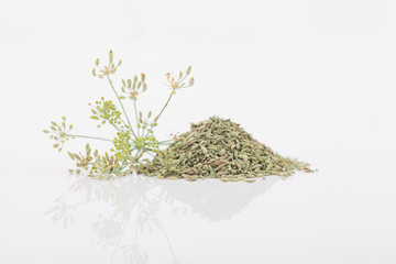 Heap of dried fennel seeds, isolated on a white background