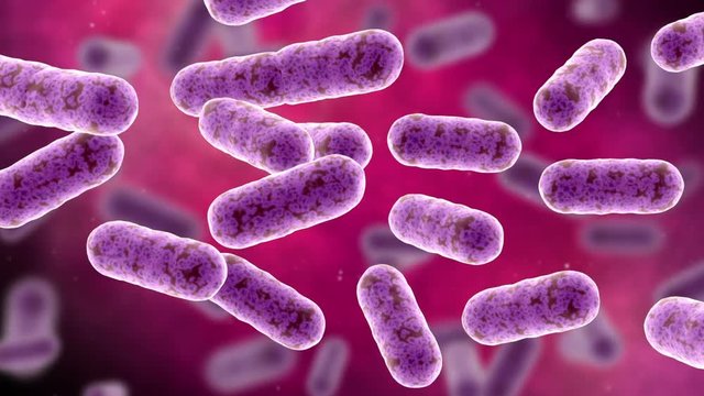 Conceptual video of bacteria multiplying.