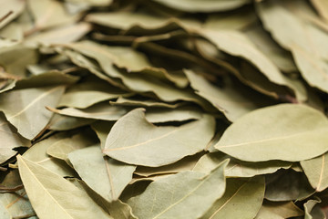 dry bay leaves background
