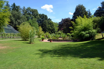 Botanischer Garten im Sommer
