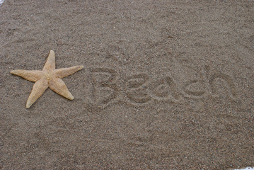 Beach Sandy Starfish