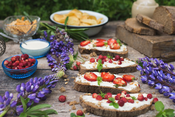 Strawberry Bruschetta with Goat Cheese