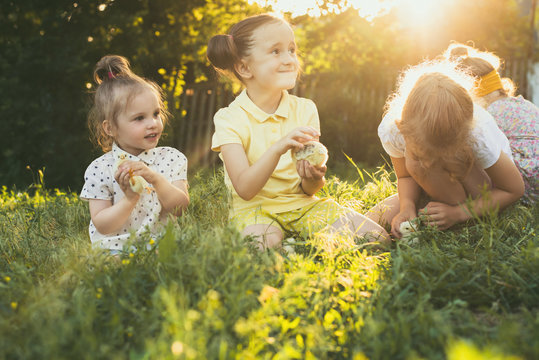 children play with the animals in the park
