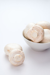 group of white jumbo mushrooms, isolated on white background, vertical