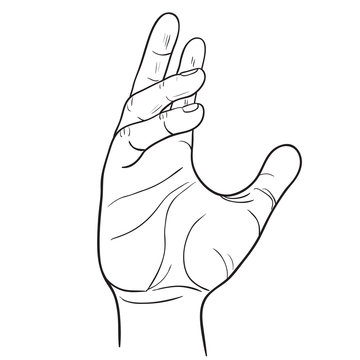 Hand with thumb finger, symbol hands. Vector Illustration Template of the gesture of the hand which holds the object.