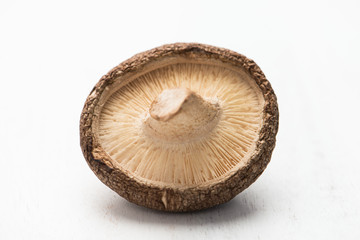 shiitake mushroom, close-up, isolated on a white background, horizontal