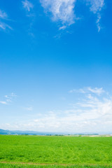 Fototapeta na wymiar 緑の草原と青空