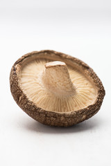 shiitake mushroom, close-up, isolated on a white background, vertical
