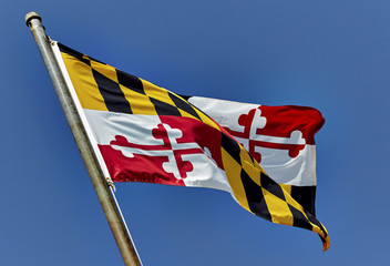 Maryland State Flag blowing in the wind on flag pole against a blue sky - obrazy, fototapety, plakaty