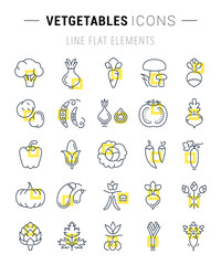 Fototapeta premium Set Vector Flat Line Icons Vegetables