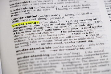Understand defined in a dictionary