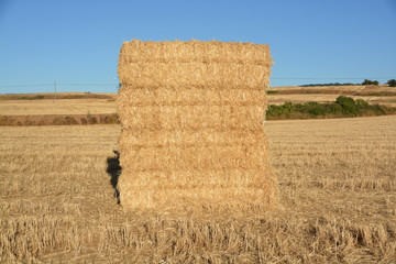 fardos de paja