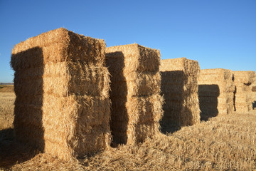 fardos de paja