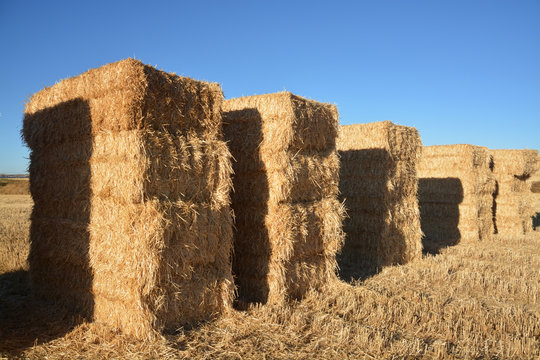 fardos de paja